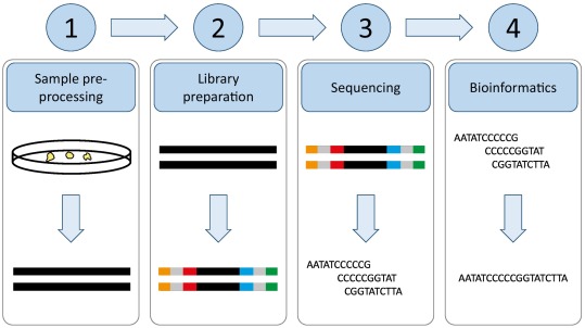 The Steps of Next-Generation Sequencing