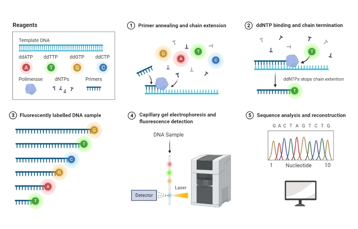 Next-Generation Sequencing (NGS)