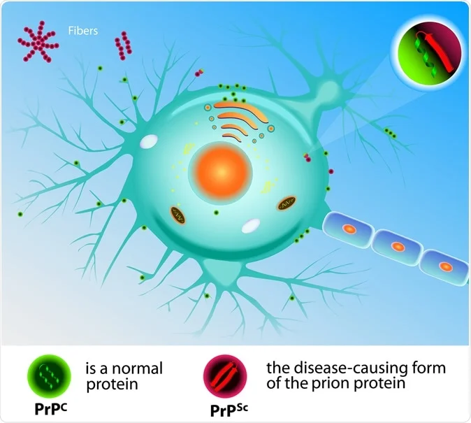 Viroids and Prions