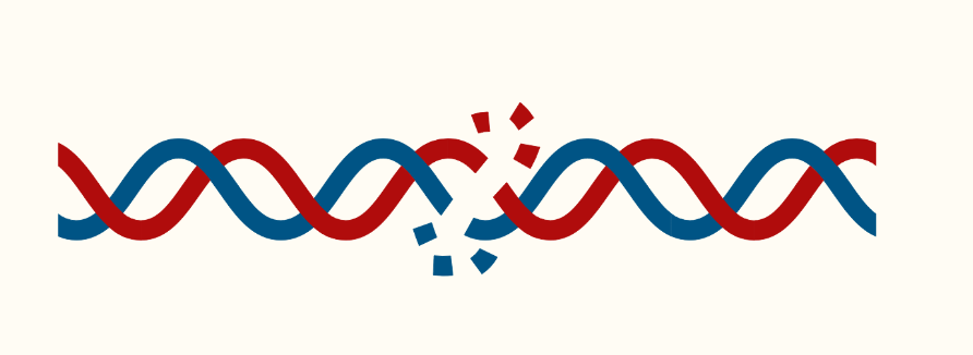 DNA Footprinting