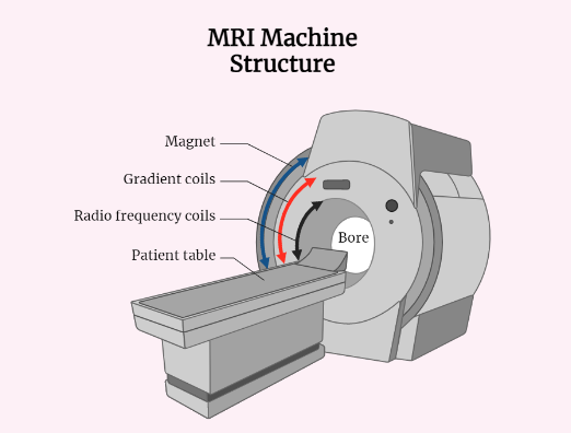 Magnetic Resonance Imaging (MRI)