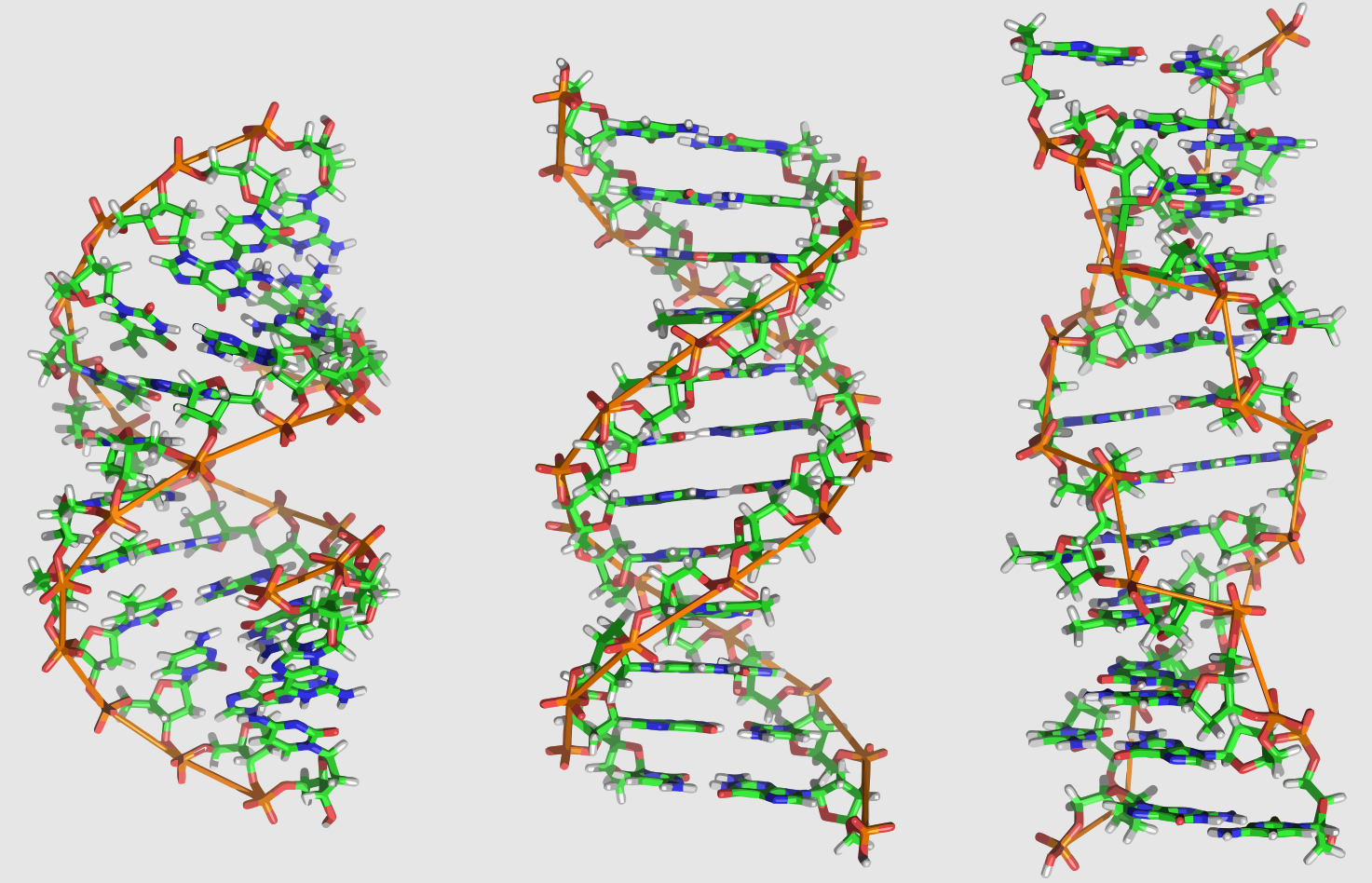 DNA Helix Variations