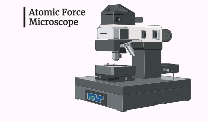 Atomic Force Microscopy (AFM)