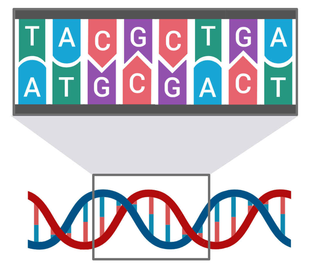 Genetic code