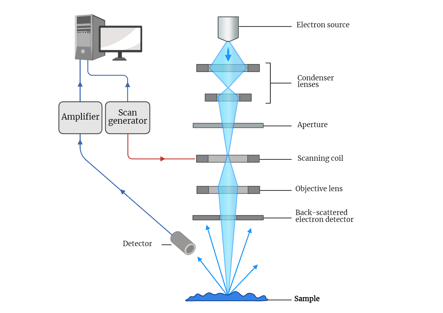 scanning electron microscope