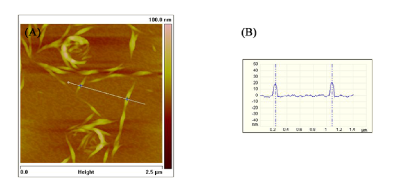 Applications of Atomic force microscopy